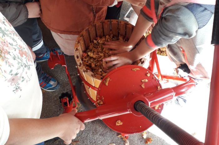 Du jus de pomme à l&rsquo;école