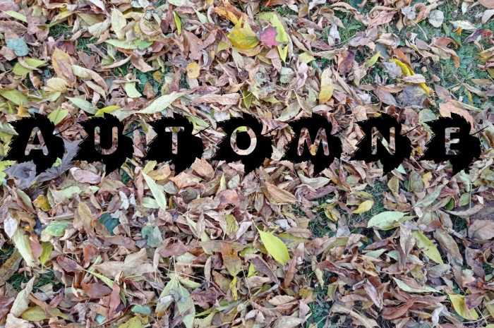 ?Les joies de l&rsquo;automne?