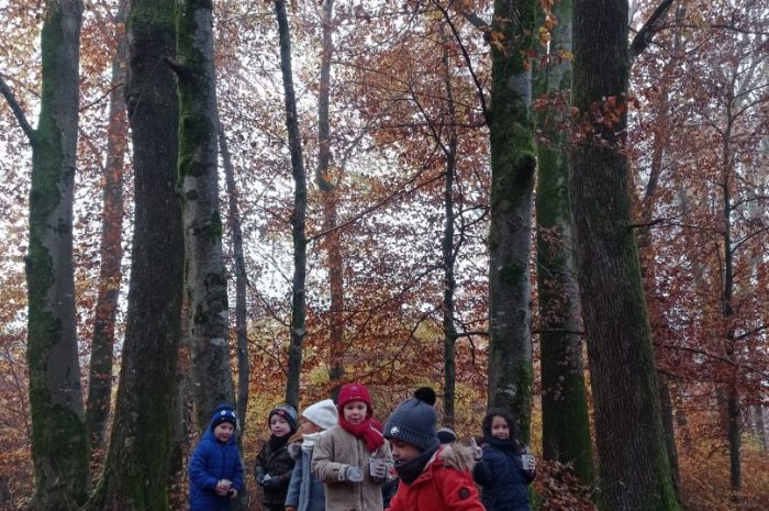 ?Promenons nous dans les bois…
