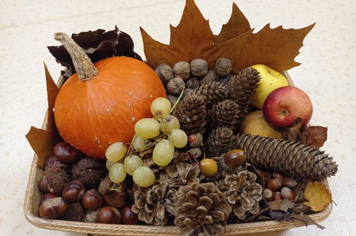 ?En mode Automne en M.S.?