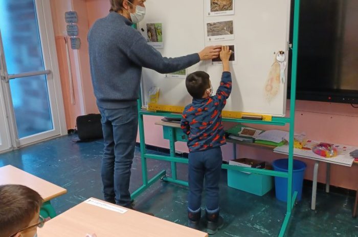 Prendre soin des oiseaux avec la maison de la nature.