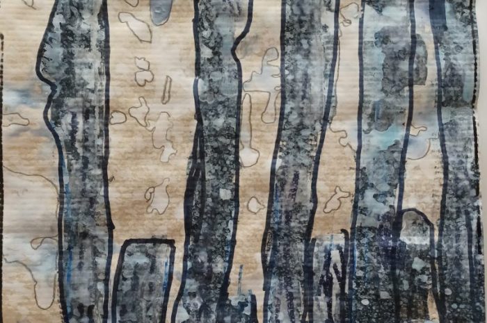 Nos arbres en hiver
