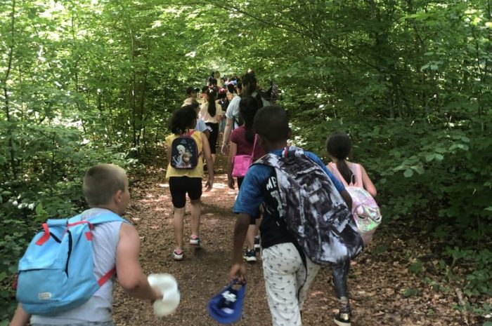 Promenons-nous dans les bois.
