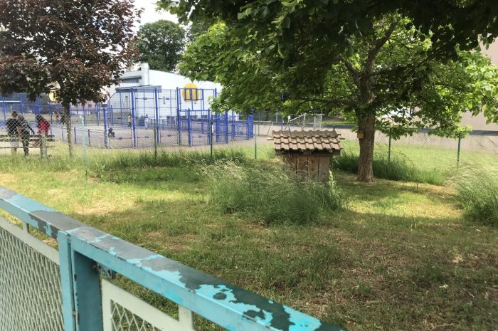Projet jardin