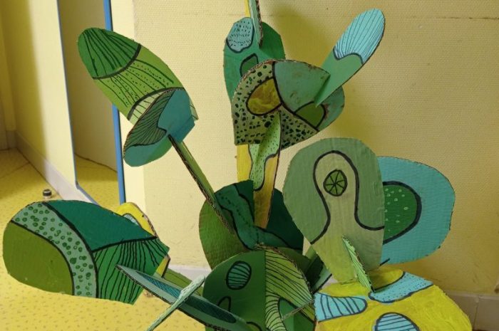 ??Dernière escale : le Mexique – les cactus?