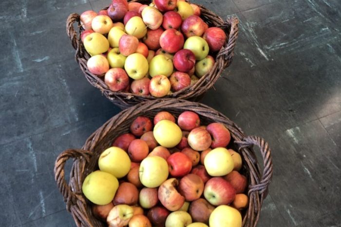 Du jus de pomme à l&rsquo;école !