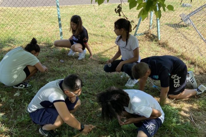 La faune du jardin de l&rsquo;école