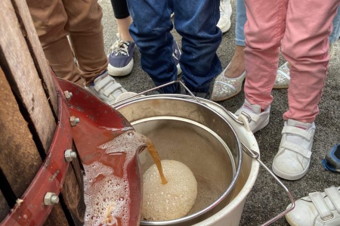 Fabrication de jus de pommes
