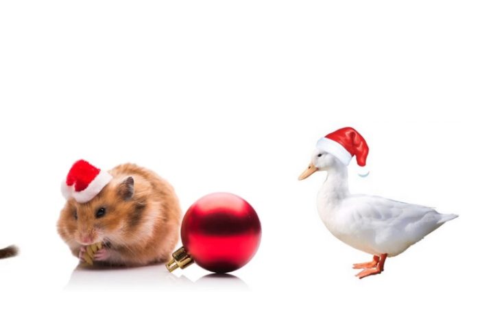 On passe en mode Noël!?