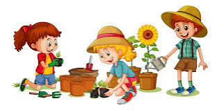?‍? Jardinage pour les MS et les GS ?