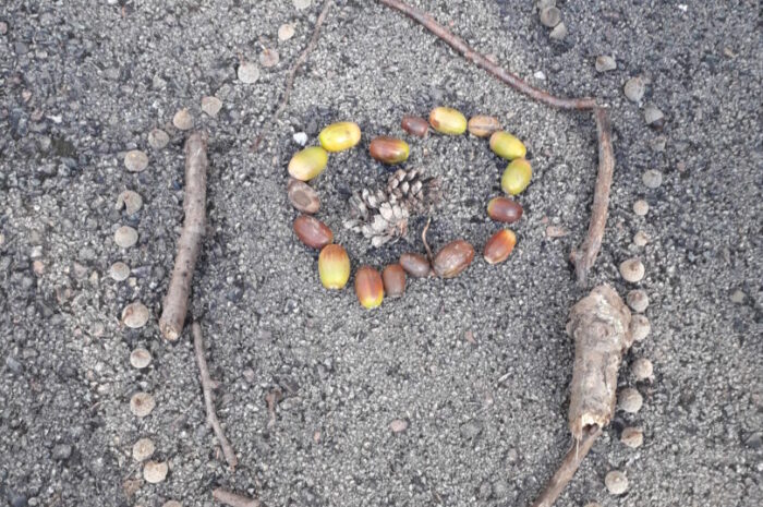 Automne : nos oeuvres